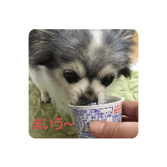 Hana_20191010143142