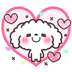 Teacup Poodle! [Candy]