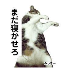 中村家の猫、みっきーのスタンプです。