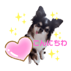 yuyu_20191002213353