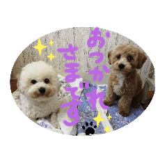 Kyoko_20191009235231