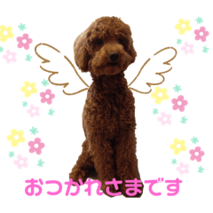 dori_20191010011844