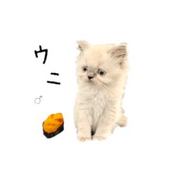 msk_20191010101822