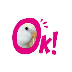 haruna_20191010154933