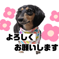 aoi_20191010072222