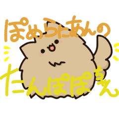 A Pomeranian named Tampopo.