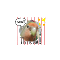 haruna_20191010111622