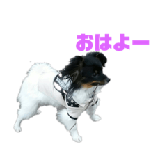 mame_20191010180622