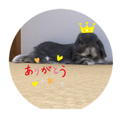 haruna_20191010181306