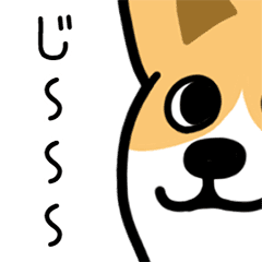 Corgi's request (frequently used words)