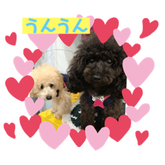 Michiko_20191010193829