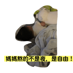樂兒日常