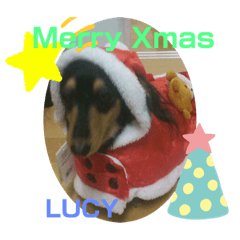 LUCY2_20191010234053