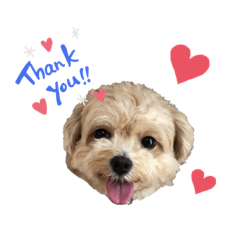 arisa_20191010212343