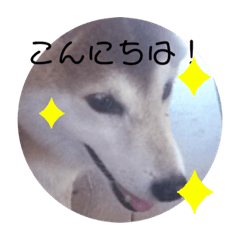 Omame_20191010221643