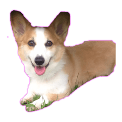 natsuki_20191011021004