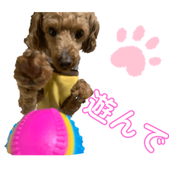 dori_20191011085004