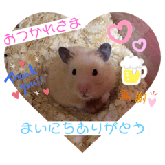 Kinnkuma
