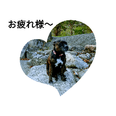 uran_20191011125139