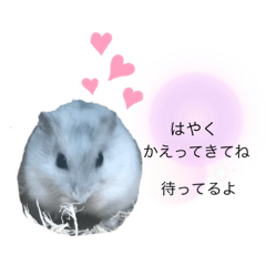 hamuponnu