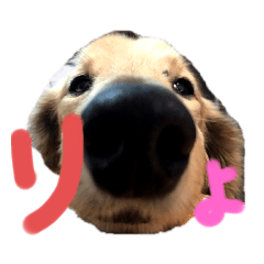 cocoa_20191011174013
