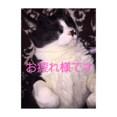 miyuki_20191011175034