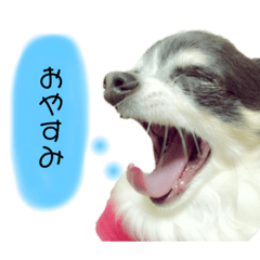 natsuki_20191011183229