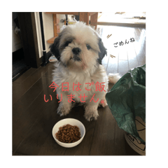 nico_20191011222517