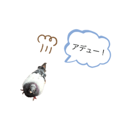 ran_20191011212819