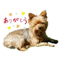 Mako_20191011143900