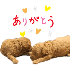 dori_20191011214743