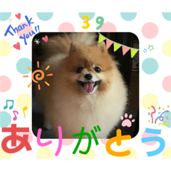 MEG_20191011235603