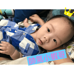苗栗蝦哥