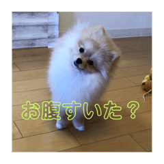 miho_20191012011509