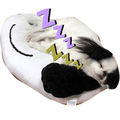 chinpeki