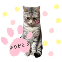 yun_20191012024849