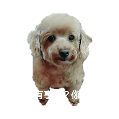 小胖妹的