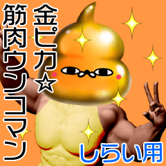 Shirai Gold muscle unko man
