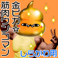 Shirakawa Gold muscle unko man