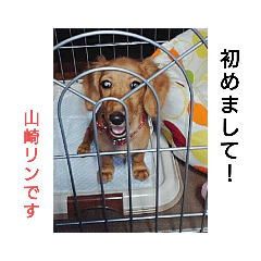 TOMOMI_20191012001753