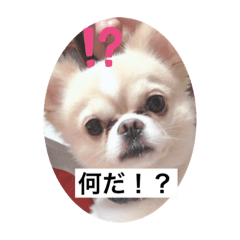 MINAMI_20191012004954