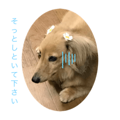 ume_20191012104139