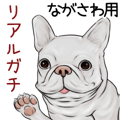Nagasawa Real Gachi Pug & Bulldog