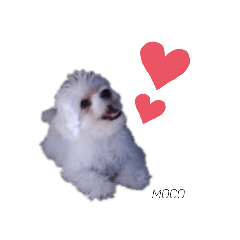 moco_20191012115604