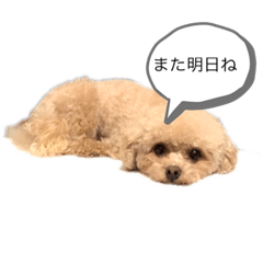 saya_20191012100950