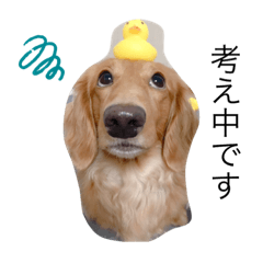 Yukari_20191012131714