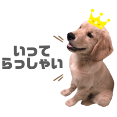 YURINA_20191012132514