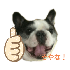 So_20191012153246