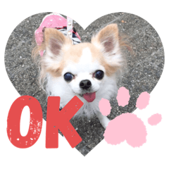 hana_20191012165706