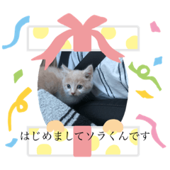 alice_20191012173106